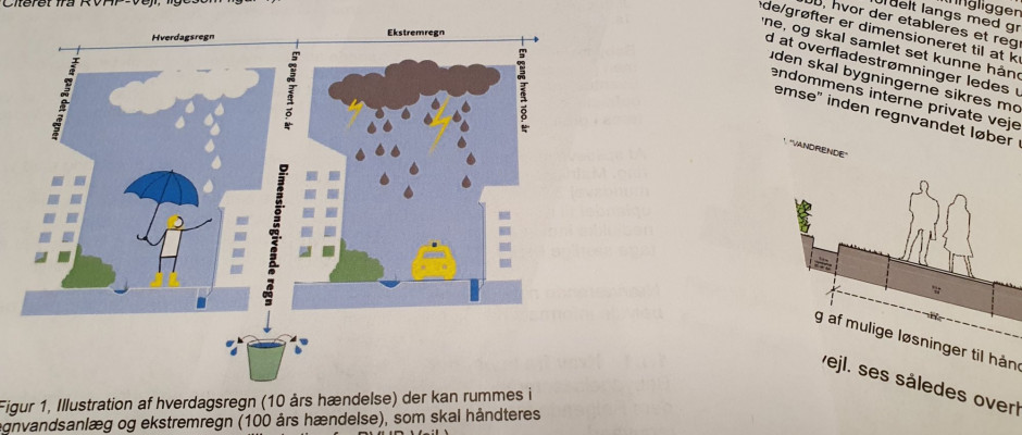 Regnvandshåndtering