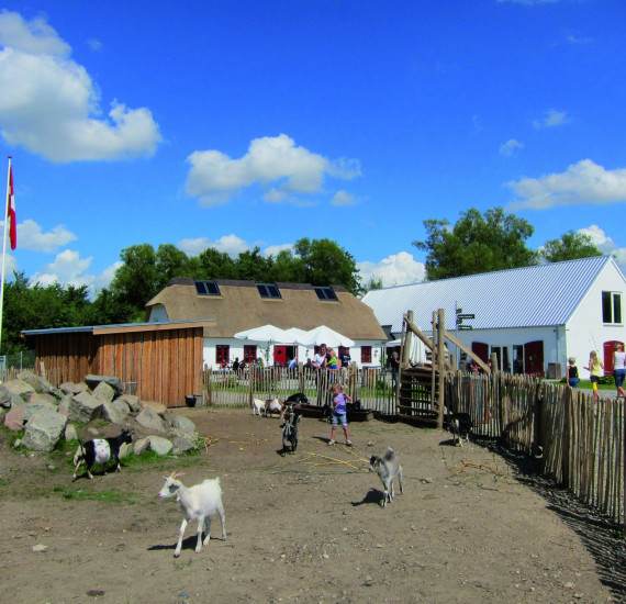 Randers Regnskov