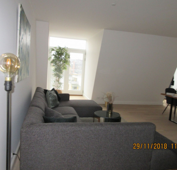 Hassing Hus