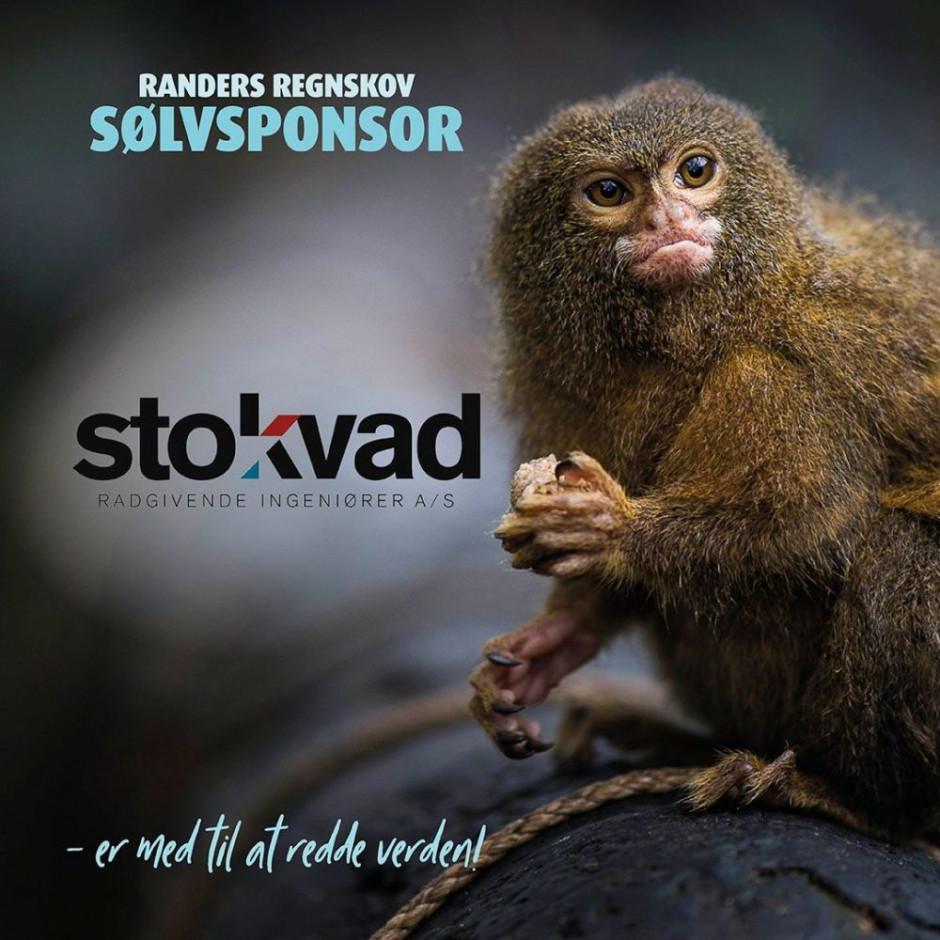 Sølvsponsor